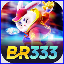br333